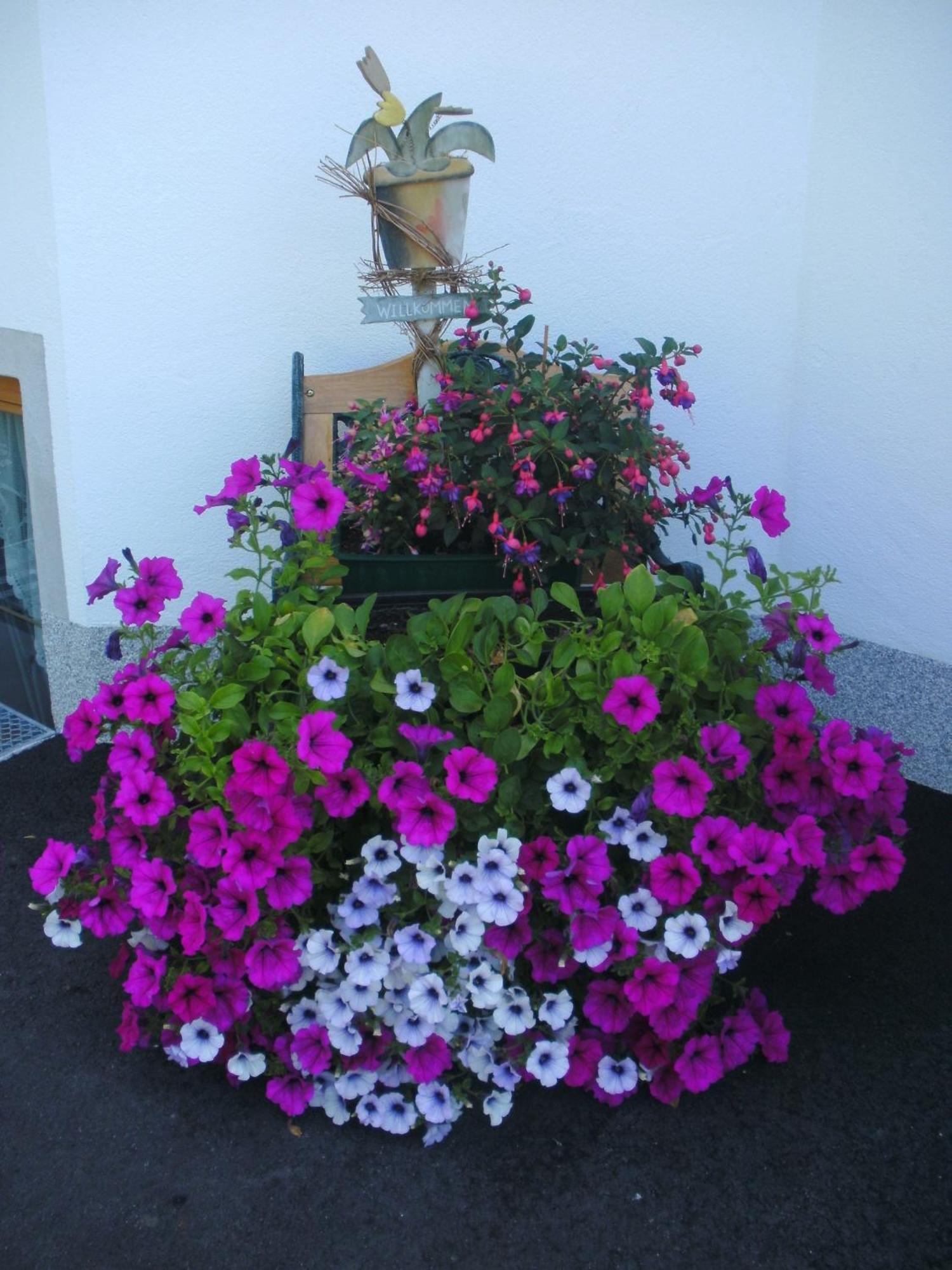 Ferienwohnung Biechl-Hauser Doris Sankt Ulrich am Pillersee Extérieur photo